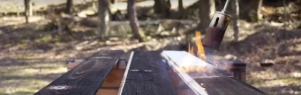 Pourquoi le bois brûle-t-il si facilement ?