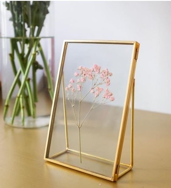 Luxshiny Boîte à Spécimens Avec Couvercle Transparent Vitrine